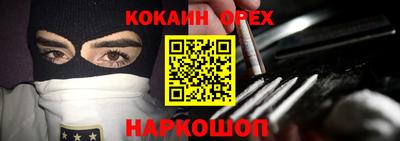 Альфа ПВП Кандалакша