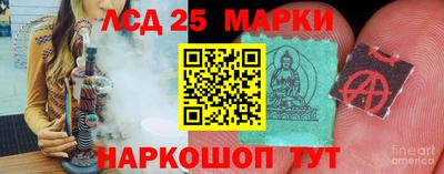 Альфа ПВП Кандалакша
