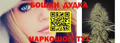 Альфа ПВП Кандалакша