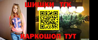 Альфа ПВП Кандалакша