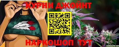 сатива Камышлов