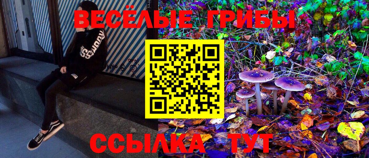 Псилоцибиновые грибы Cubensis  Вход с VPN  Нурлат 