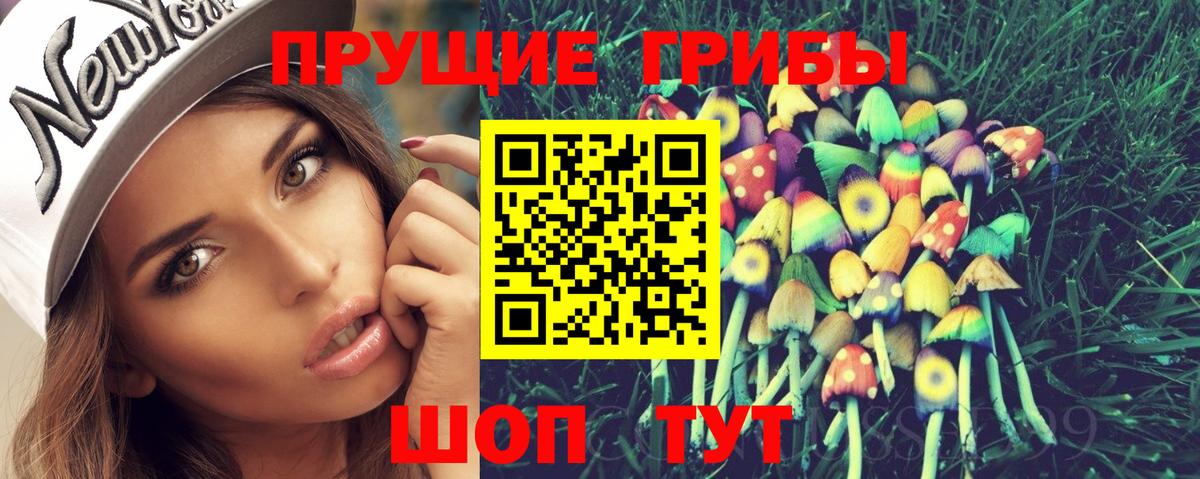 Псилоцибиновые грибы Psilocybe Нурлат